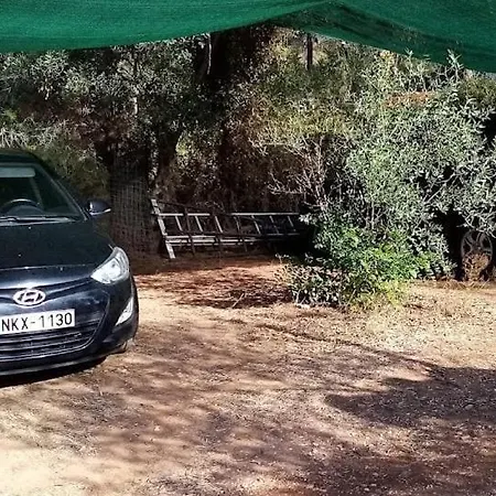 Lady's House On The * ניקיטי