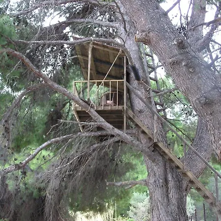 Lady's House On The * Nikiti (Sithonia)