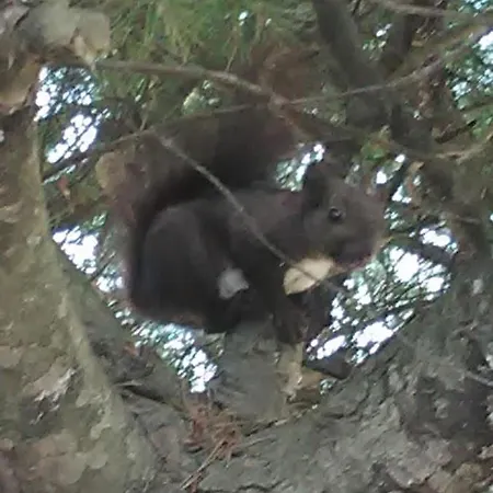 Lady's House On The בית נופש