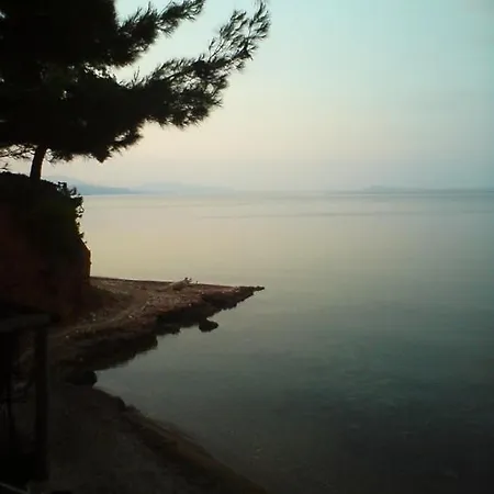 Lady's House On The *