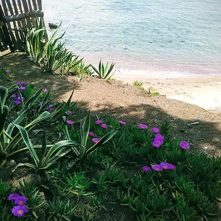 Lady's House On The 尼基季