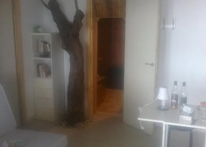 Lady's House On The *