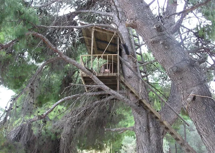 Lady's House On The * 니키티
